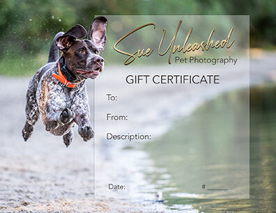 Sue Unleashed Gift Certificates