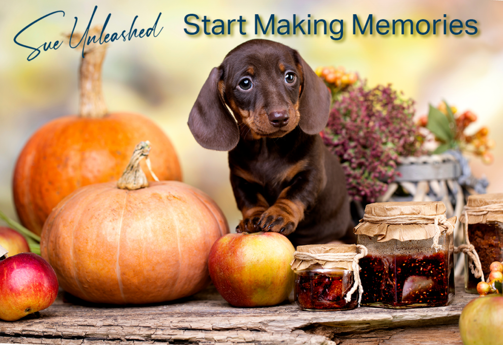 Thanksgiving Header 2