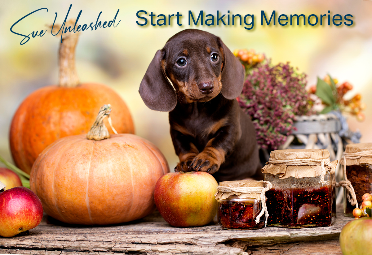 This Thanksgiving, Preserve Cherished Memories of Your Pet's Unconditional Love