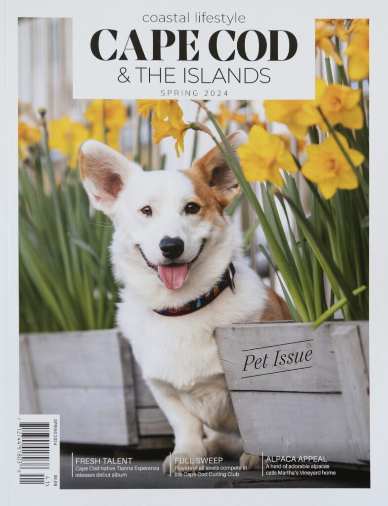 Cape Cod & The Islands magazine cover featuring a Sue Unleashed photo.
